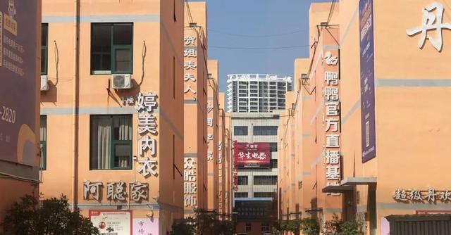 橙色兵器召唤5条狗传奇手游
