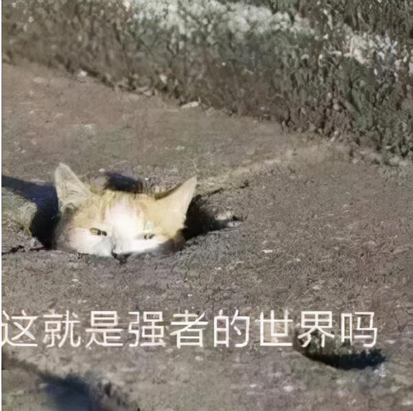 辉耀传奇手游