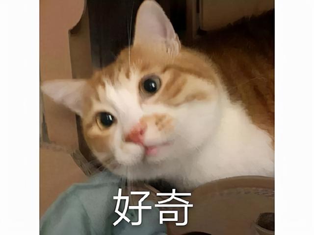 烈焰传奇手机版游戏下载