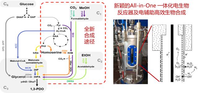 手游传奇世界官网首页