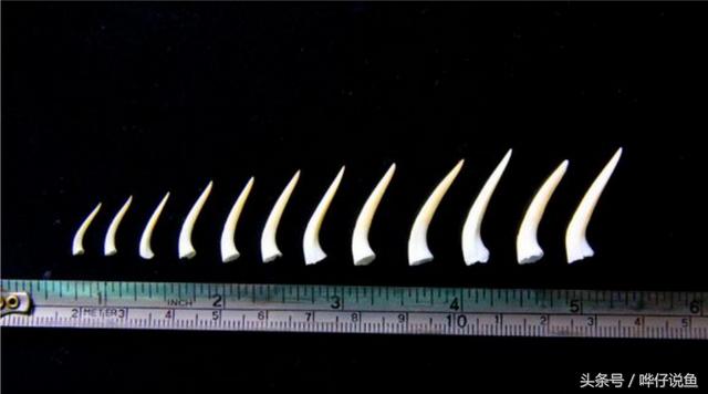 七彩杀神恶魔传奇手游