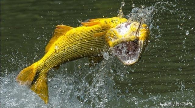 七彩杀神恶魔传奇手游