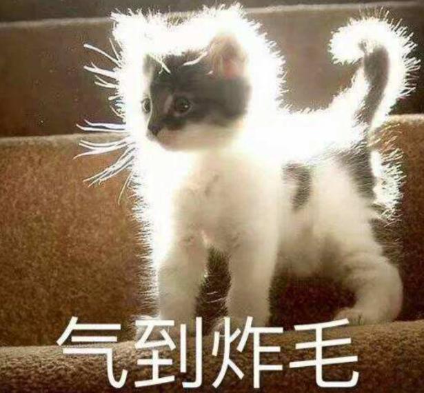 反常传奇手游破解版