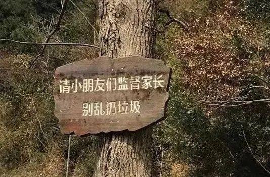 神之范畴传奇手游