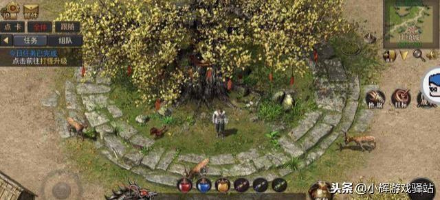 点卡传奇手游1.76