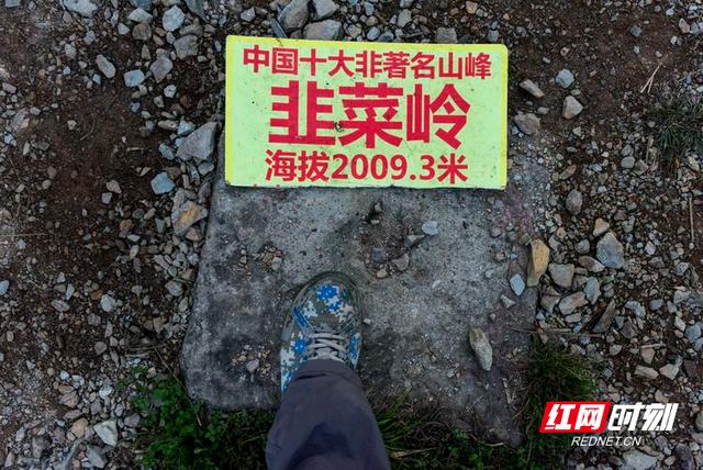 传奇之巅手游2m