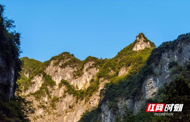 传奇之巅手游2m