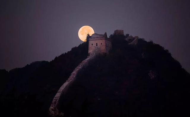 玉兔超变传奇手游