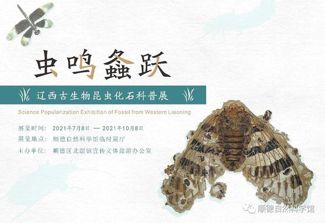 霸业永久传奇手游下载