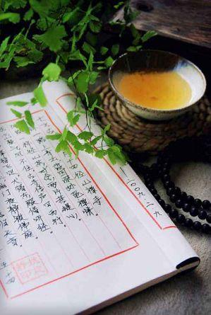 烈日皓月手游