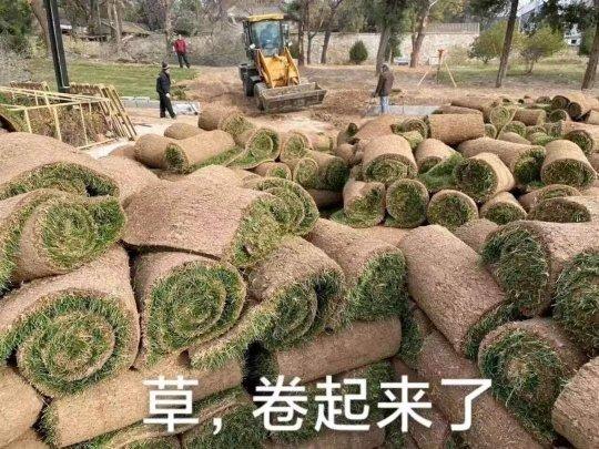 好玩的传奇手游排行榜2020