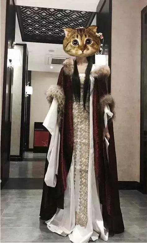 轩辕传奇手游时拆礼包