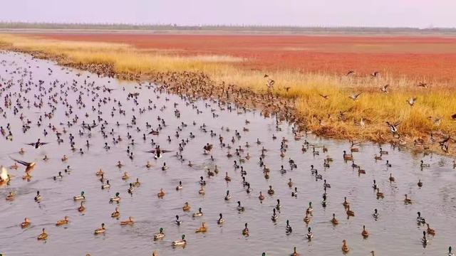 东北传奇逐鹿中原手游