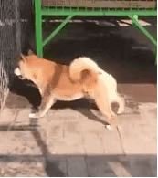 永久之怒传奇手游