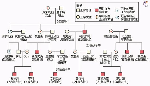 奥秘传奇手游下载