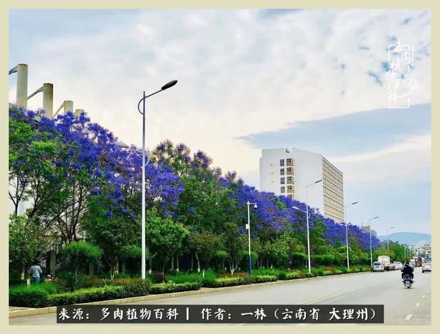 嘟嘟传奇无限元宝手游