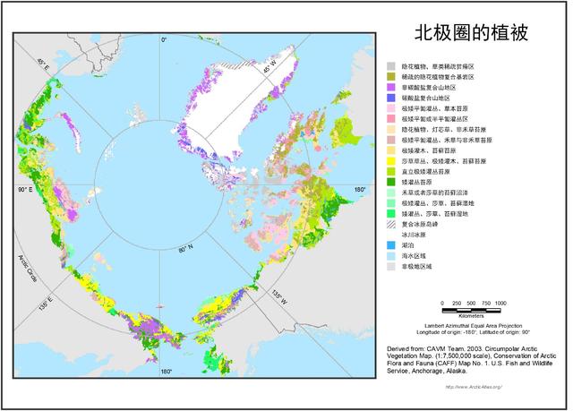 传奇之巅手游2m