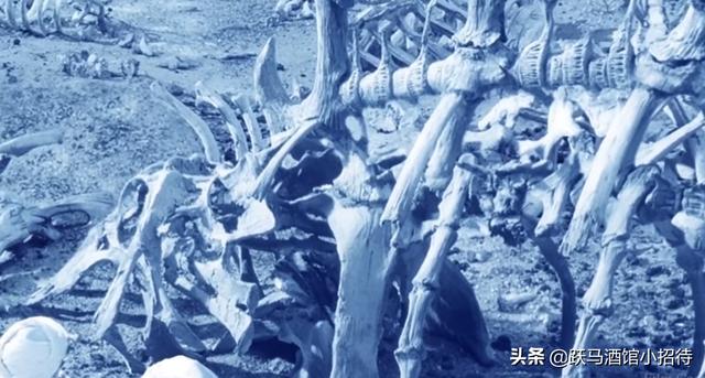 星际传奇手机游戏