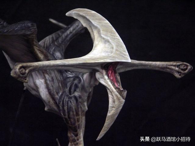 星际传奇手机游戏