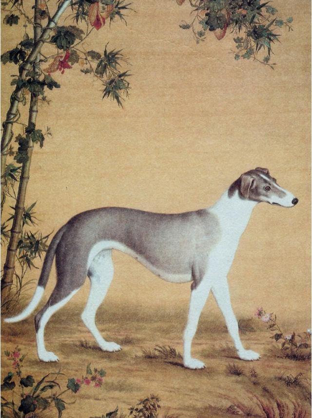 神龙玉兔传奇手游