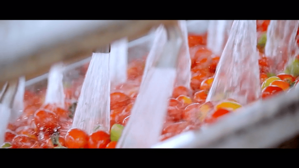 齐鲁风云传奇手游