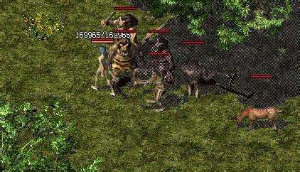 (新开中变传奇网)新开中变传奇