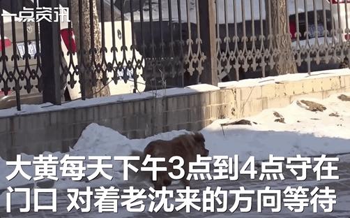 刚开一秒传奇手游