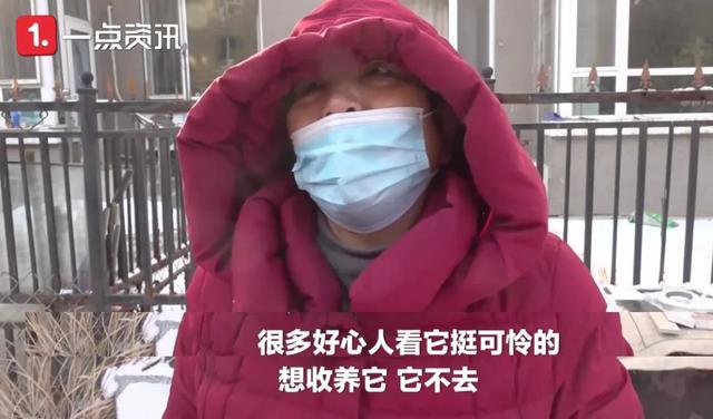 刚开一秒传奇手游