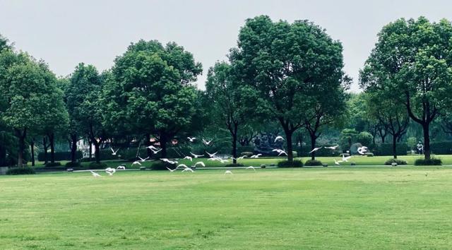 传奇绿色版手游官网