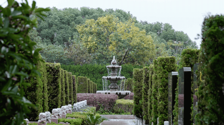 传奇绿色版手游官网