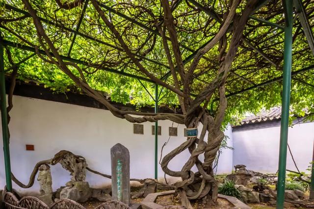 不设vip的传奇手游