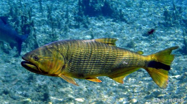 七彩杀神恶魔传奇手游
