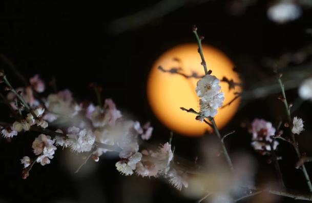 手游版皓月传奇下载