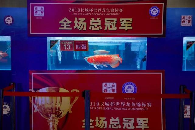 龙行全国传奇手游