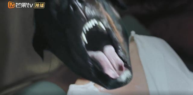 热血巅峰手机版