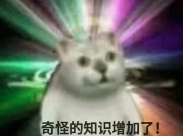 冰风传奇手游