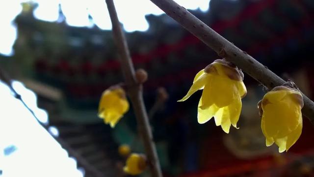 良心传奇手游兑换码