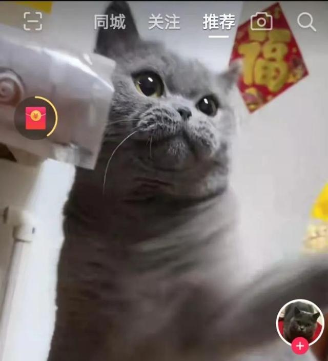 良心传奇手游兑换码