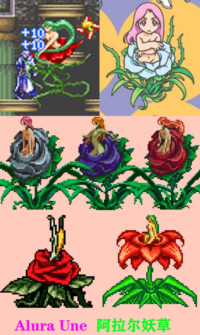 橙色兵器召唤5条狗传奇手游