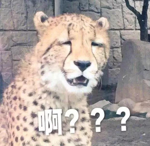 山鸡传奇手游