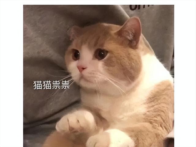 小瓜游戏传奇手游