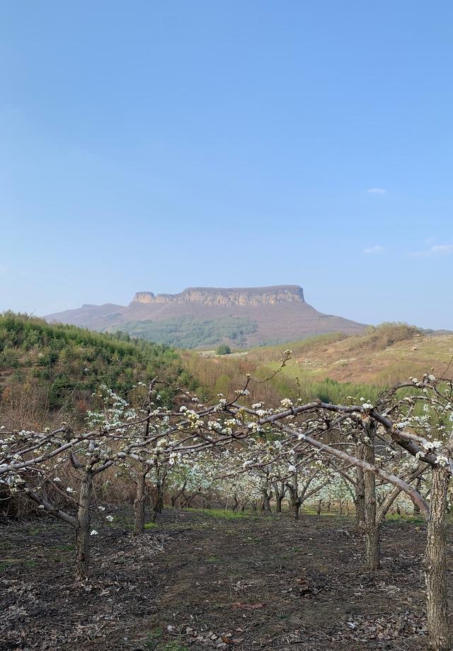 奥秘传奇手游下载
