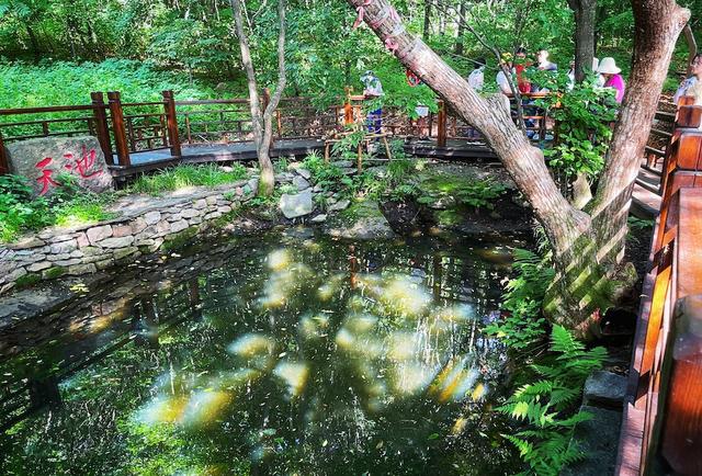 奥秘传奇手游下载