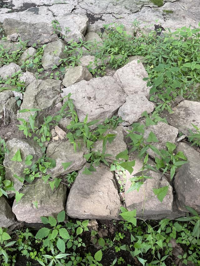 奥秘传奇手游下载