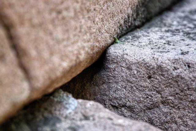 奥秘传奇手游下载