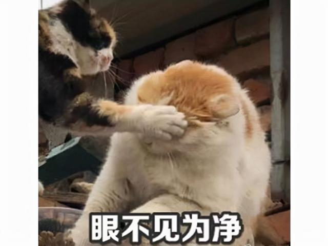 暗黑传奇手游官网