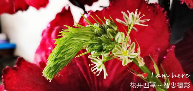 都会传奇手游