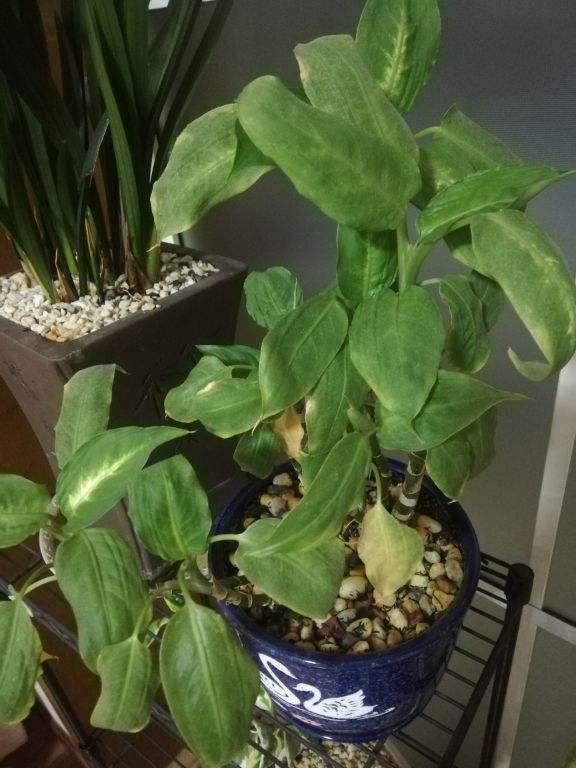 画量感强的3d传奇手游排行