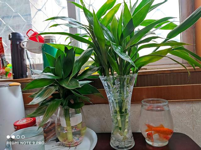 画量感强的3d传奇手游排行