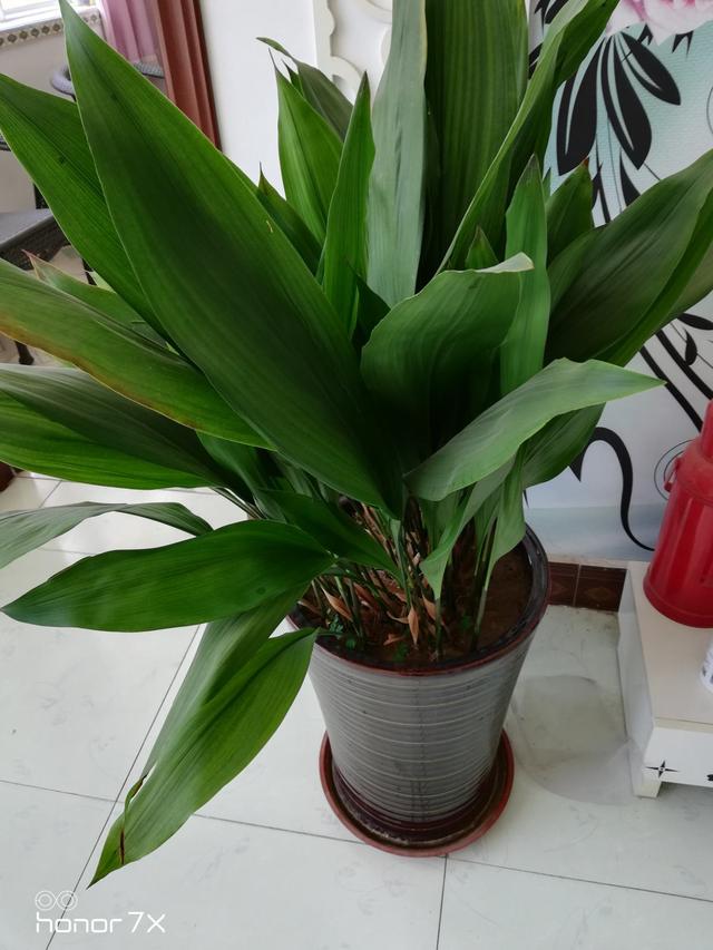 画量感强的3d传奇手游排行